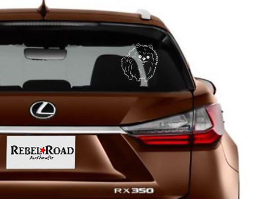 Pomeranian Puppy decal