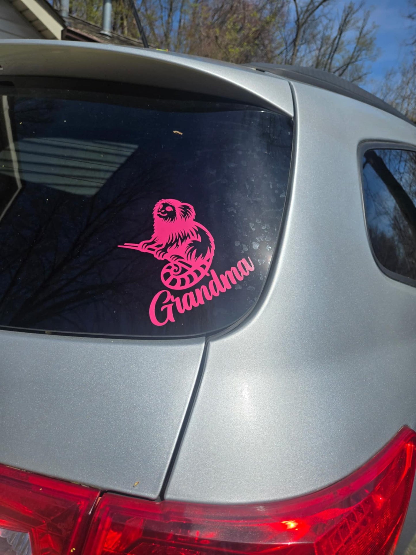 Marmoset Monkey Vinyl Decal – Personalized Name Option for Marmoset Lovers