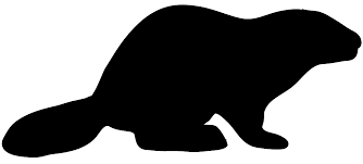 Beaver
