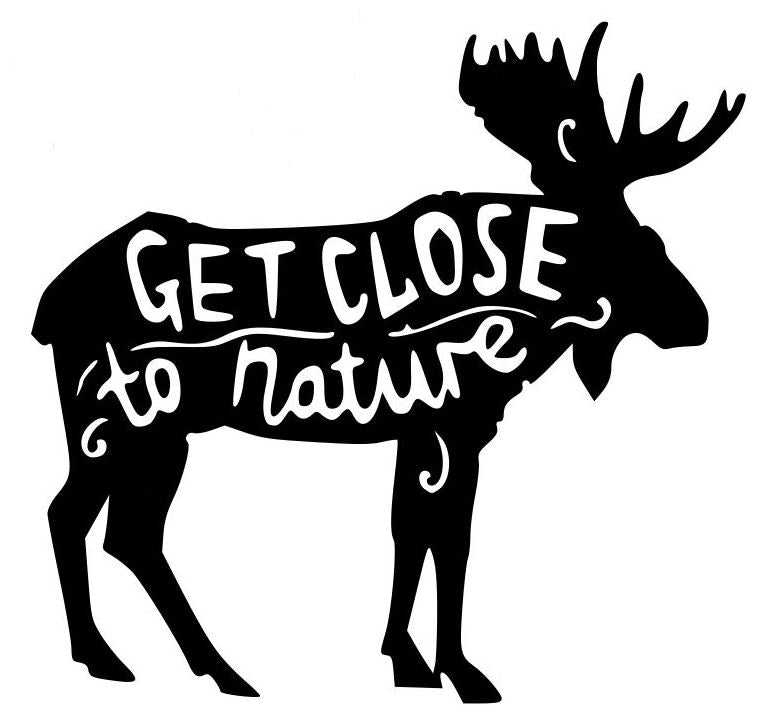 Get close to nature moose