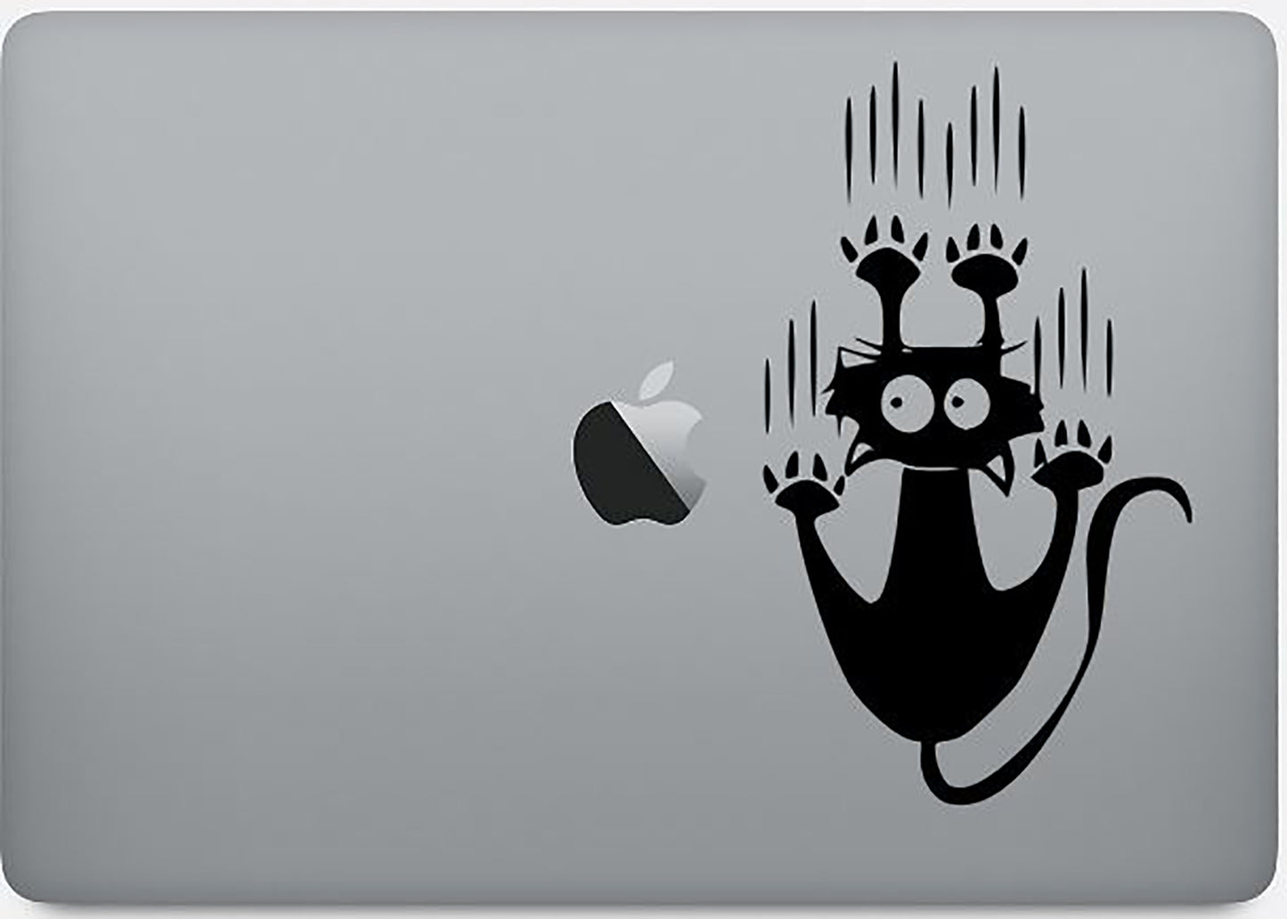 Look at me Kitty Vinyl Decal
