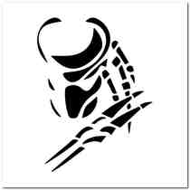 Predator Vinyl Decal