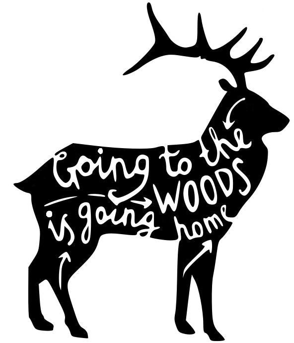Going to the woods is going home elk