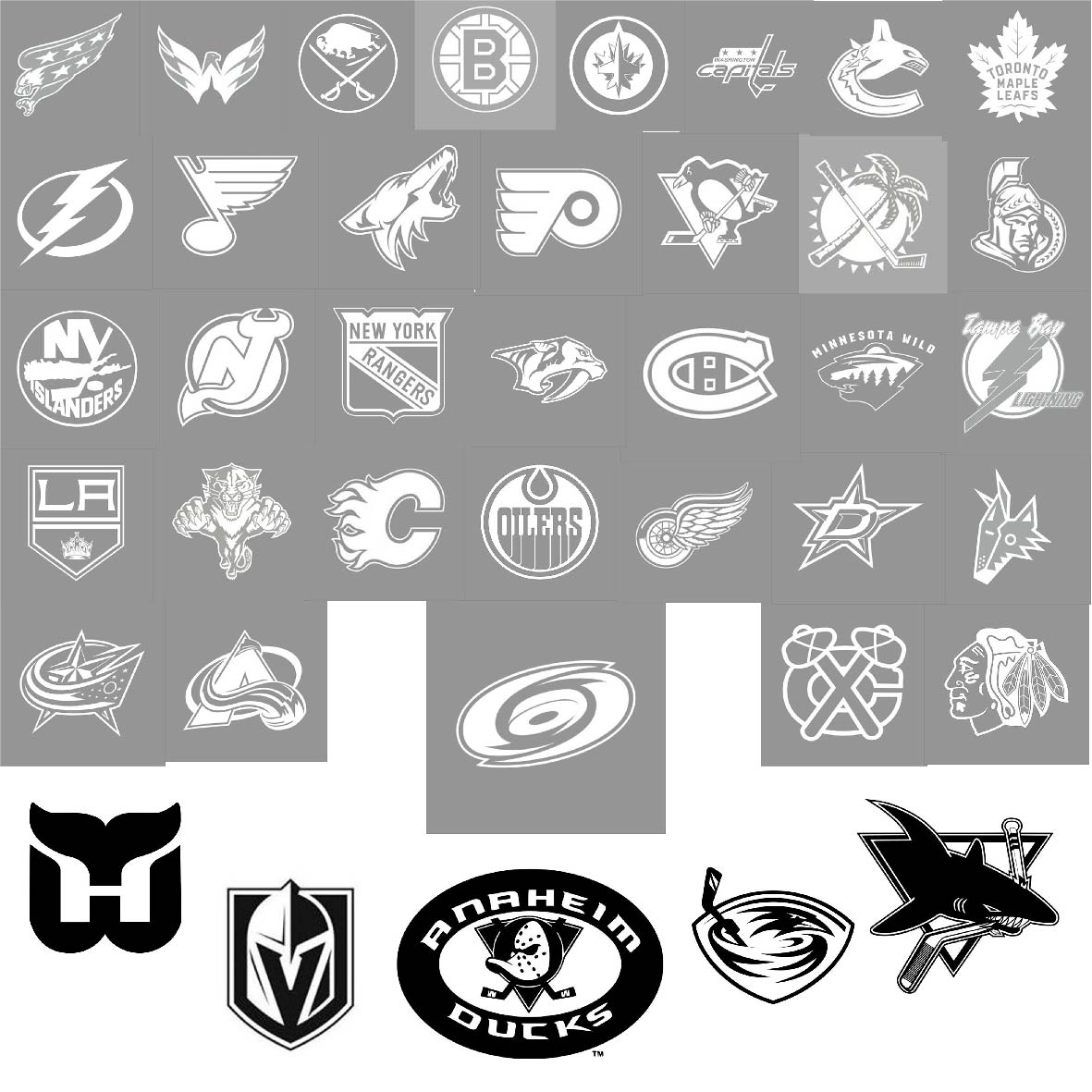 NHL Team Logo